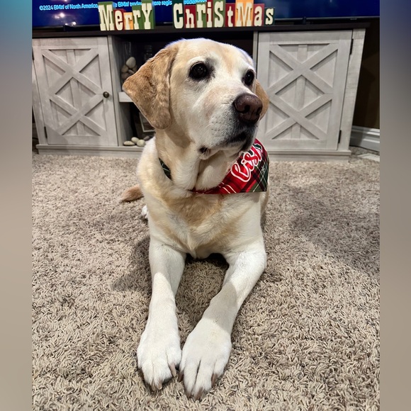 🥰♥️LIVE SHOW Notification- Carey is LIVE!!! 🥰 ♥️CPUWAL is LIVE!♥️🥰 - Picture 11 of 16